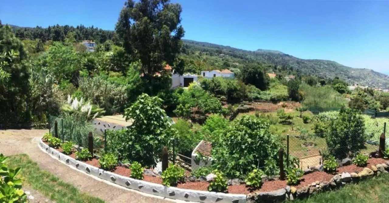 Ferienhaus Finca San Pablo Icod De Los Vinos